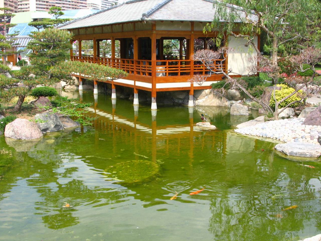 Japanese Garden